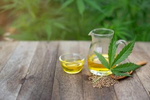 thc versus cbd