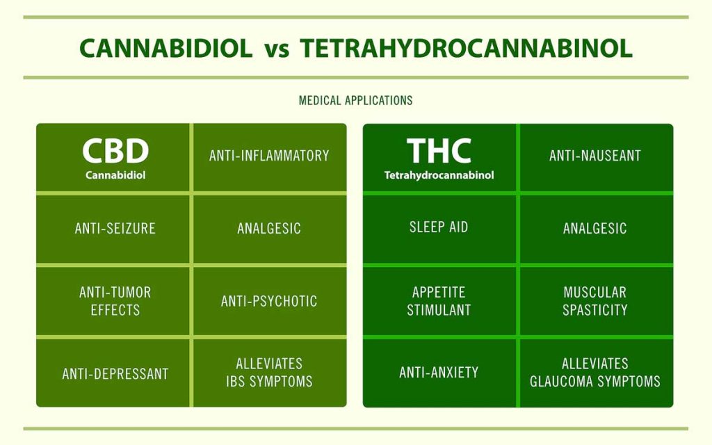 CBD Vs THC: Understand These Weed Components Completely