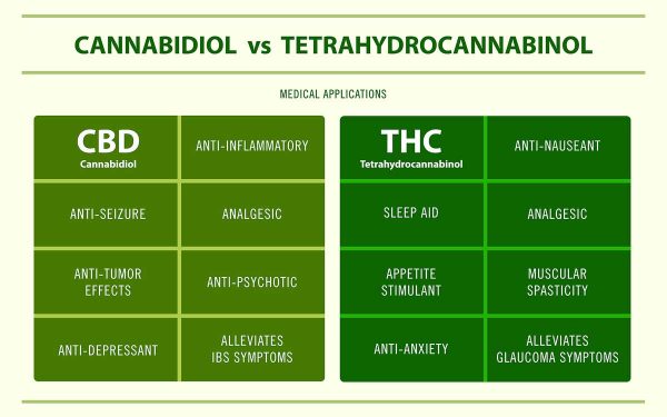 CBD vs THC: Understand These Weed Components Completely