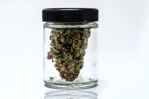 How to Store Weed to Prolong its Shelf Life