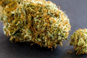 What is Considered High THC?