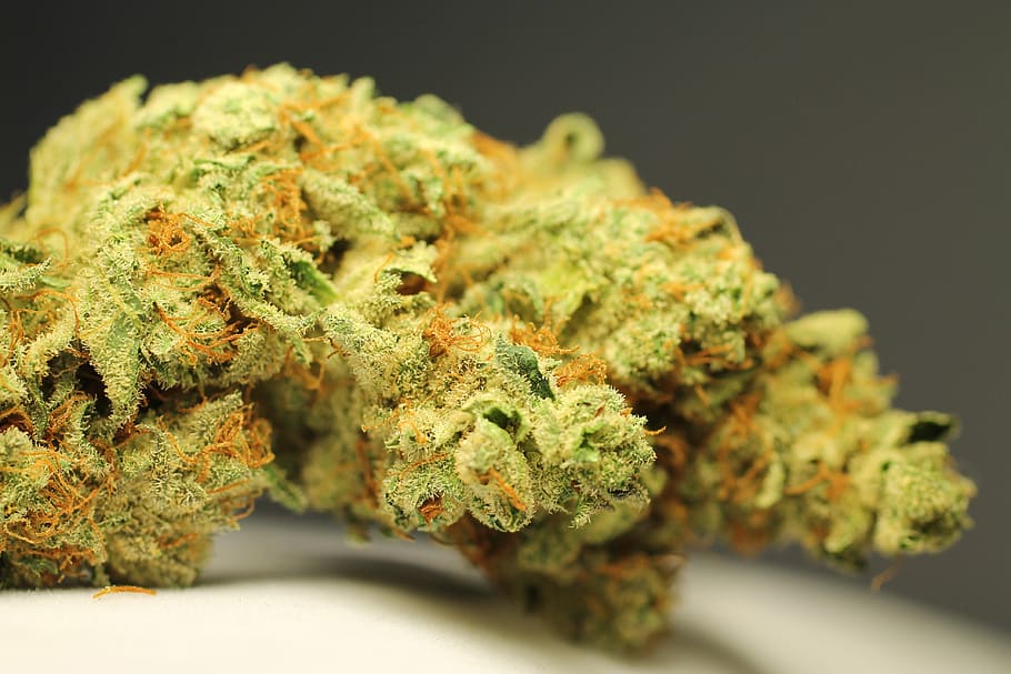 10 Most Expensive Weed Strains Ever Produced in the World