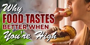 Why Food Tastes Better When You're High