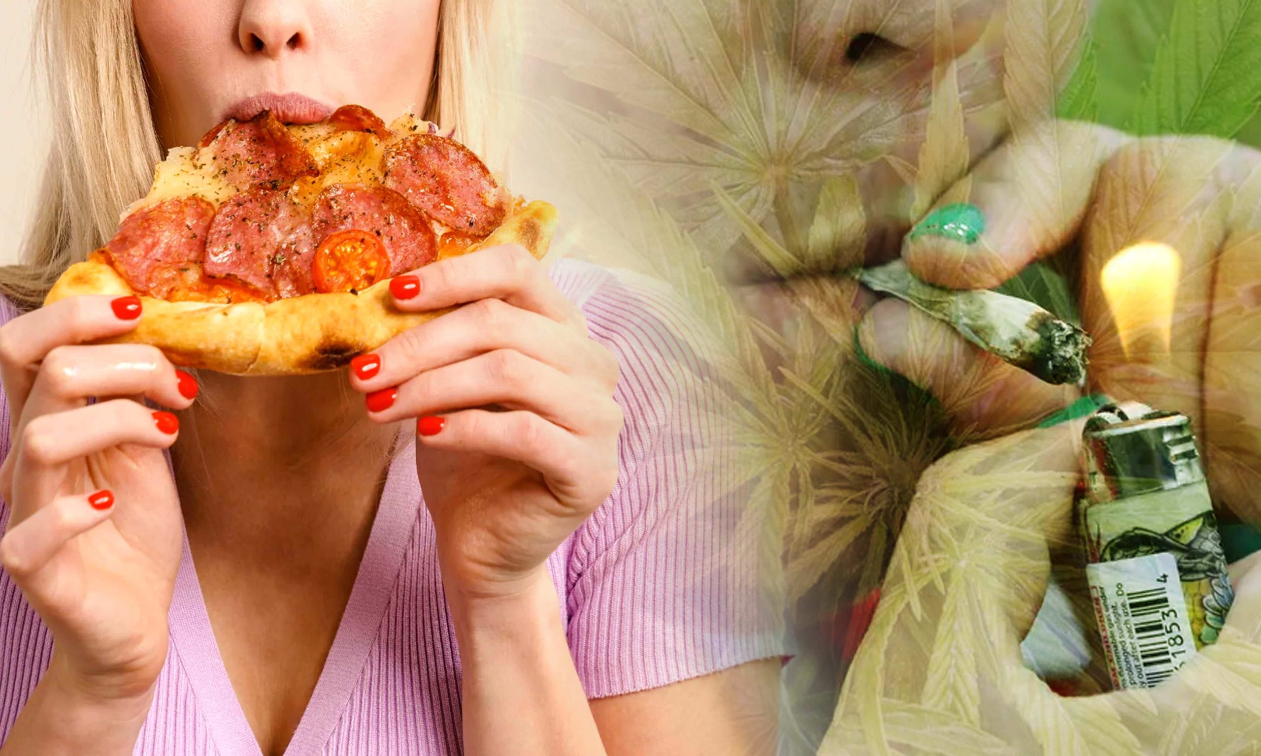 Why Food Tastes Better When You're High