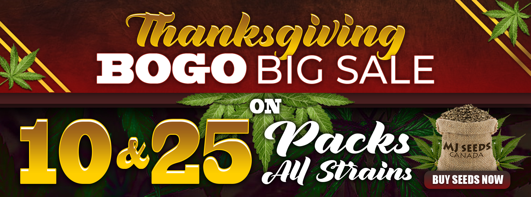 Thanksgiving Promo